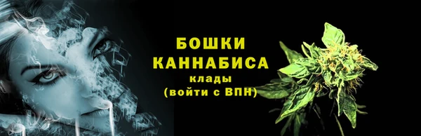 индика Вязники