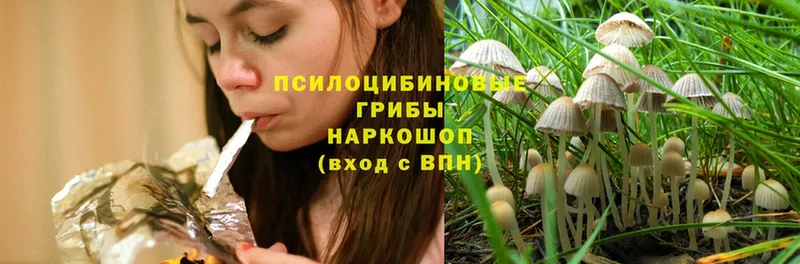 наркота  Инта  OMG зеркало  Псилоцибиновые грибы Magic Shrooms 